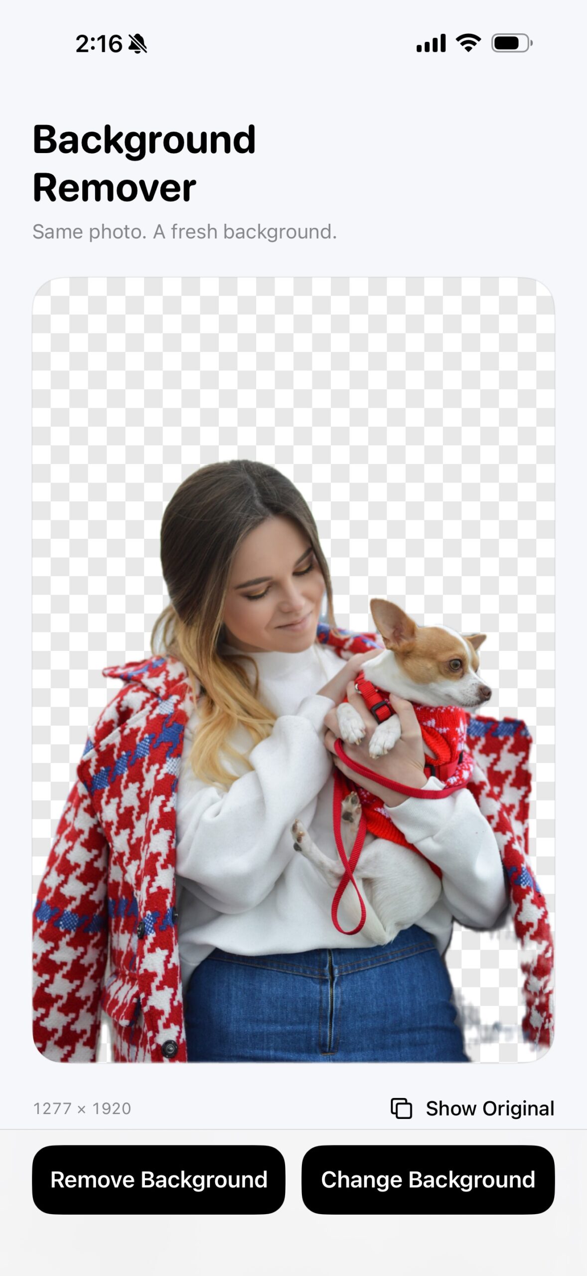 Woman and dog isolated on a transparent background